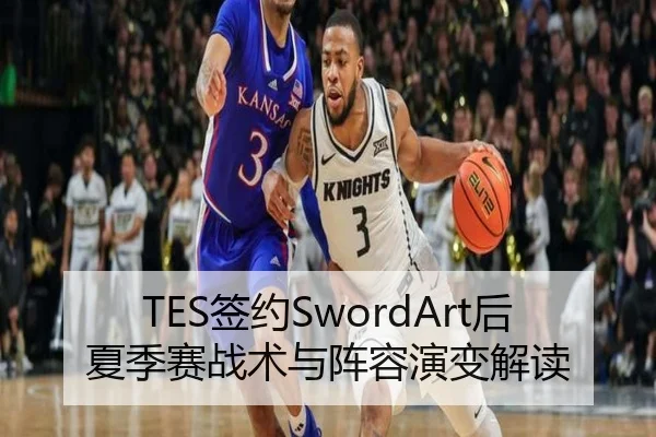 TES签约SwordArt后 夏季赛战术与阵容演变解读